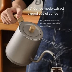 0.9L 304 Stainless Steel Black Digital Smart Pour Cordless Gooseneck Electric Kettle 360 Degree Rotational Base Temp Control