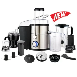 1000W Stainless Steel Extractor Juicer Power Juicer