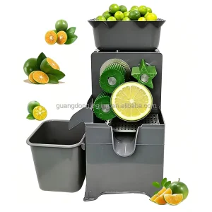 100W 110V 220V Commercial Citrus Heavy Duty High Capacity Automatic Pulp Ejection Cold Press Lemon Kumquat Juicer