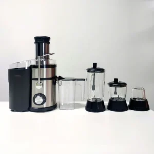 110V 220V 4 in 1 Juicer Extractor Blender Strong Power Smoothie Blender Meat Cutter Coffee Beans Grinder Food Processor