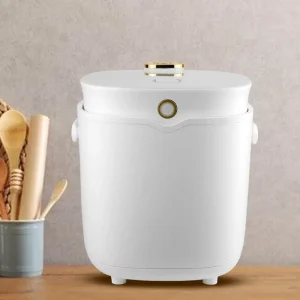 110V Cooking Minicooker Non Stick Inner Pot Plastic 2L Electric Lunch Box Rice Cooker with Measuring Cup and Paddle