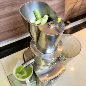1200W Stainless Steel Commercial Juicer Residue Separation Celery Fruit Vegetable Extractor for Juice Bar Restaurant