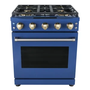120V Classic Retro 30 Inch Rotisserie Oven Heavy Duty Electric Professional