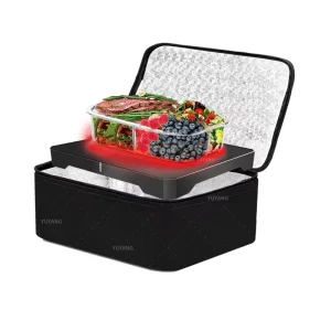 12V 24V 110V 220V Portable Oven Food Warmer Lunch Box Mini Portable Electric Heating Lunch Heater Mini Electric Oven