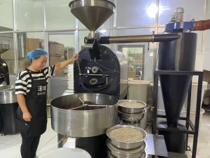 12kg Automatic Coffee Roaster for Specialty Coffee Studio and Roastery Use