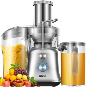 2 Speeds Mode Juicer Machine with Extra Large 3.4 Inch Feed Chute BPA Free Centrifugal Extractor