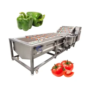 2 year Warranty Automatic Water Bubble Fruit and Vegetable Avocado Spanich Carrot Washing Machine