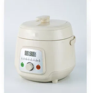 2.5L 600W Mini Household Multifunctional Electric Rice Cooker PC50 E
