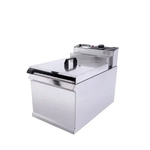20 L Electric Deep Fryers for Fried French Fries Dough Sticks Chicken Pork Chops Oil Filtering