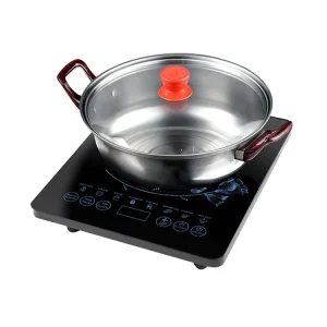 2200w Portable Multifunctional Induction Cooker