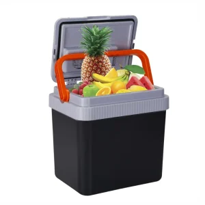 24L Electric Car Cooler Warmer Portable Thermoelectric AC DC 12V Outdoor Work & Lunch Box Semiconductor Refrigeration
