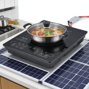 24V/48V Solar DC Electric Induction Cooker Single Burner for Household Outdoor Hotel Use for RV and Car Battery Power Source