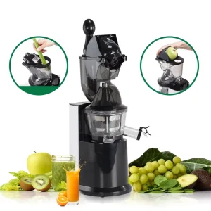 250W Mini Slow Juicer with Stainless Steel Blades Self Cleaning Quiet Motor Juice Extractor