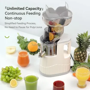 250W Slow Masticating Juicers Commercial Slow Cold Press Juicers Extractor Machine Fruit Vegetable Juicers Machine