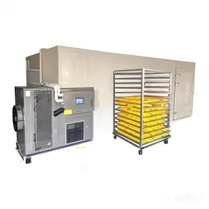 3-30P Fruit Vegetable Drying Machine Mango Dryer Pineapple Dryer Room Baobab Fruit Dehydrator Food Processing CE