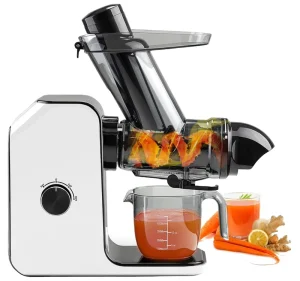 3 Modes High Nutrition Slow Masticating Juicer Machine Easy Clean Horizontal Slow Juicer for Fruits and Vegetables
