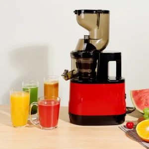 300W Full automatic Slow Juicer Juice pulp Separation Large diameter Multi functional Juicer