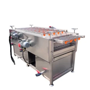 36 Rollers Automatic Sugarcane Washing Machine Commercial Sugarcane Peeling & Cleaning Machine