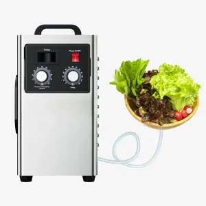 3g/h 5g Stainless Steel Ozone Machine Home Kitchen Fruit Vegetable Washer with 220V 1-Year Warranty