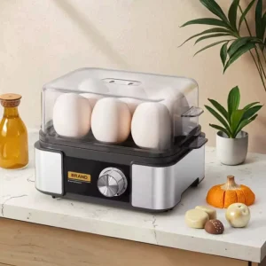 400W Automatic Egg Cooker 6 Egg Capacity Noise Free Electric Egg Boiler with Auto Shut Off BPA Free Housing Easy to Clean