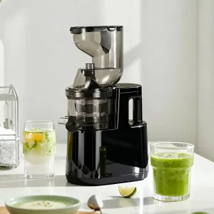 500W Masticating Juicer Cold Press Juicer for Whole Vegetables and Fruits Easy to Clean High Juice Yield