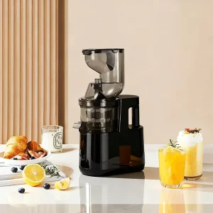 500W Masticating Juicer Cold Press Juicer for Whole Vegetables and Fruits Easy to Clean High Juice Yield