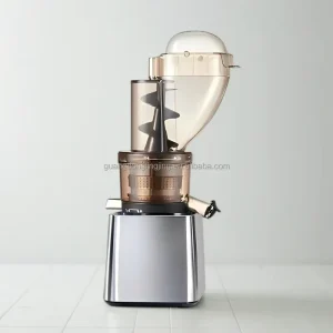 500W Tabletop Home Use Slow Masticating Fast Speed Juicing Big Mouth Chute Cold Press Slow Juicer for Juice Bar