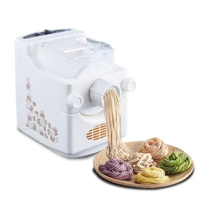 500g Home Use Homemade Automatic Electric Noodle and Pasta Makers Machine