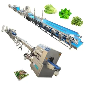 500kg 1000kg Organic Lettuce Washing Cleaning Drying Packing Machine Leaf Vegetables Washer Cleaner Dryer Processing Line
