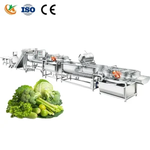 500kg hr Automatic Vegetable Cutting Slicing Washing Drying Packing Machine Processing Line with Motor 22kw Frozen Fresh Salad