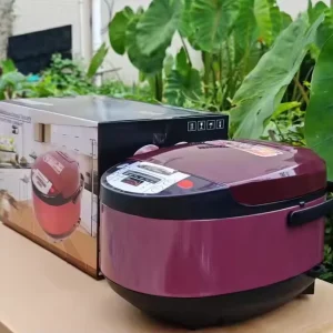 5L Multi functional Household Rice Cooker Smart Reservation Rice Cooker