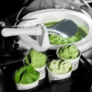 7 Liter Each Pot Commercial Hard Ice Cream Yogurt Maker NSF CE Approved 2 Pots Gelato Maker 2 Year Warranty
