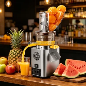 750W High Efficiency Wide Chute Slow Cold Press Juicer Fresh Fruits Commercial Juicing Equipment for Juice Bar Cafe Hotel