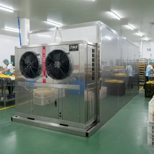 AIO 1500 Mango Pineapple Tomato Fruit Dryer Food Dehydrator Fruit and Vegetable Drying Machine