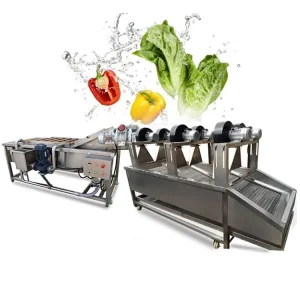 Air Bubble Apple Pear Fruit Cleaning Grading Machine Vegetable Washing and Drying Line