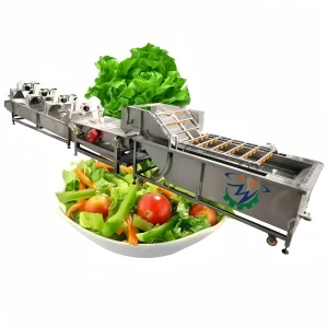 Automatic Air Bubble Cleaning Vegetable Fruit Washer Dryer Sorting Processing Line Machine Motor Engine Stainless Steel Energy