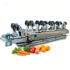 Automatic Continuous Cold Air Blowing Drying Dehydration Dewatering Machine for Washed Vegetables and Fruit Production Line