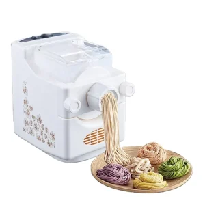 Automatic Electric Eco Friendly Durable Small Spaghetti Macaroni Pasta Making Machine at Home Use Noodle Maker