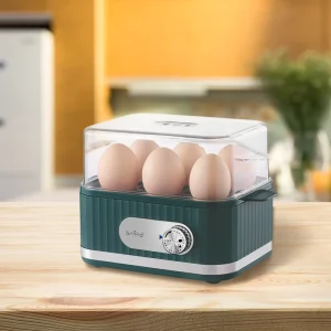 Automatic Electric Egg Boiler Machine for 6 Eggs Fast Safe with Dry Burn Protection OEM ODM