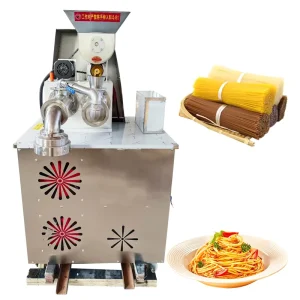 Automatic Electric Home Spaghetti Pasta Extruder Fresh Noodle Making Machines Pasta Macaroni Makers for Various Noodles