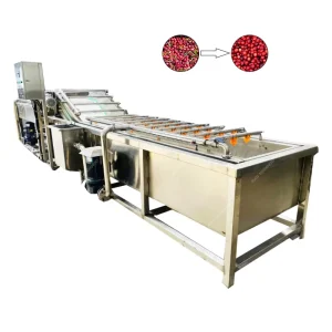Automatic Food Grade Vegetable and Fruit Bubble Washing Machine with Pump Includes Cleaning and Drying Line