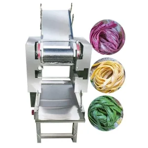 Automatic Fresh Noodle Make Machine Pasta Maker Food Grade Stainless Steel Electric for Restaurant Various Noodles