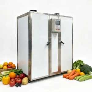 Automatic Fruit and Vegetable Drying Oven Heat Pump Drying Machine Beef Jerky Meat Food Dehydrator