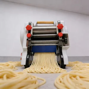 Automatic Home Portable Small Electric Mini Pasta Maker Noodle Making Machine for Restaurant