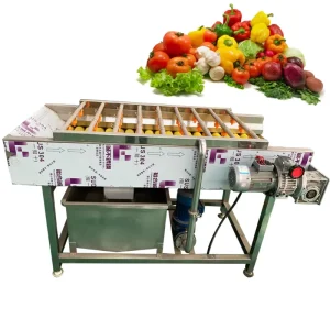 Automatic Industrial Fruit and Vegetable Washing Machine Orange Apple Lemon Fruit Washing Machine