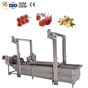 Automatic Non damage Soft Washer Leafy Vegetable Cleaning Line for Ready to eat Production Line