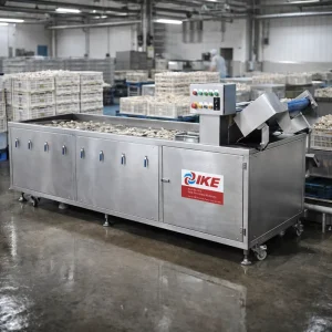 Automatic Ozone Bubble Vegetable Cleaning Equipment Lettuce Mushroom Cleaning Machine for Fruit Water