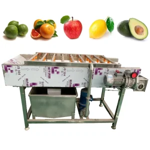 Automatic Root Vegetable Sorting Washing Waxing Machine with Motor and 304 Stainless Steel for Apple Mango
