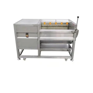 Automatic Vegetable Fruit Washer with Onions Ginger Peeler Featuring a Pump PLC System Brush Washing System