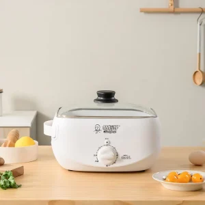 BPA Free Healthy White Electric Food Cooker Steamer for Household Use for Cooking Steaming Rice Roll